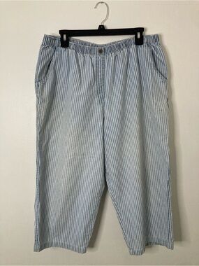 Allison Daley Blue White Pinstripe Pull On Cotton Pants Elastic Waist Size 16